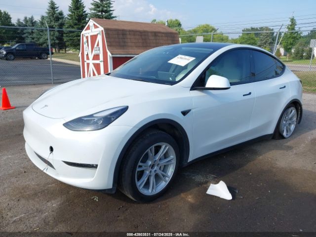 2023 TESLA MODEL Y 7SAYGDEE0PF674299 Photo 1