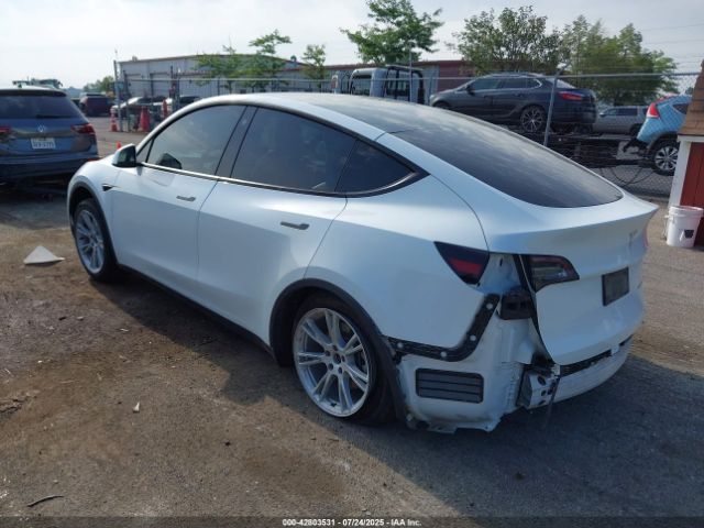 2023 TESLA MODEL Y 7SAYGDEE0PF674299 Photo 2