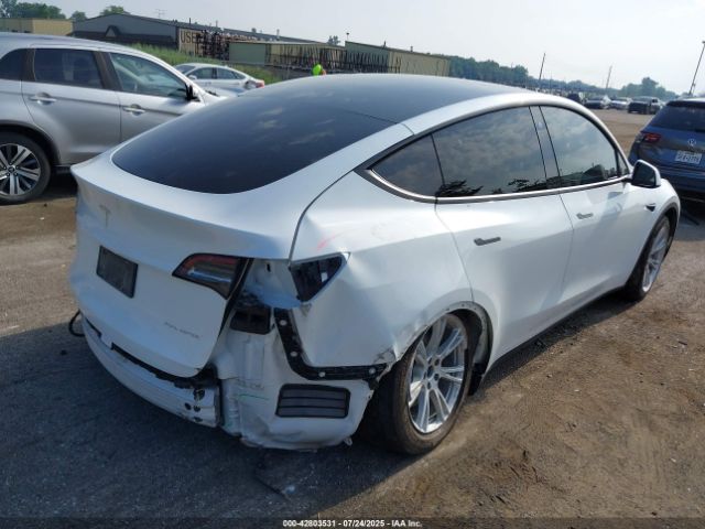 2023 TESLA MODEL Y 7SAYGDEE0PF674299 Photo 3