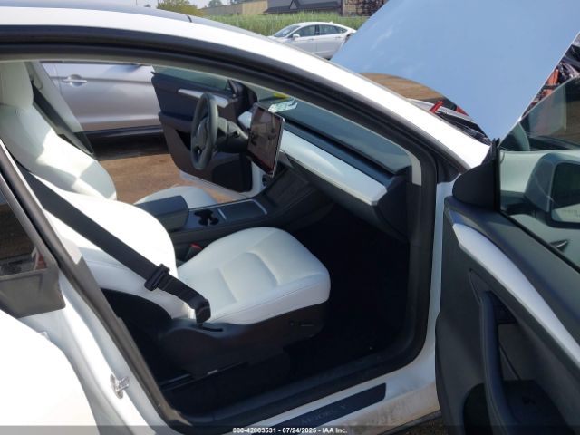 2023 TESLA MODEL Y 7SAYGDEE0PF674299 Photo 4