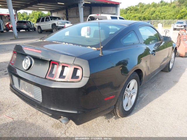 1ZVBP8AM8E5274090 Ford 2014