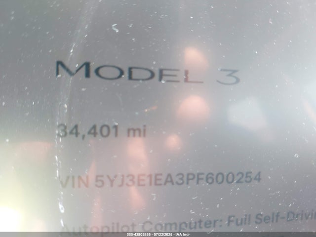 2023 TESLA MODEL 3 5YJ3E1EA3PF600254 Photo 6