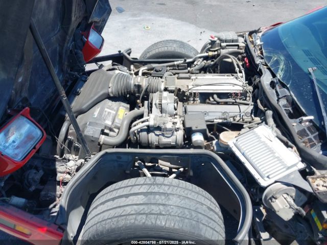 1995 CHEVROLET CORVETTE 1G1YY22P4S5106077 Photo 9