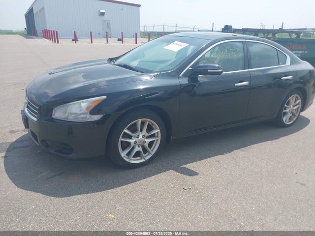 42804863 :رقم المزاد ، 1N4AA51E49C806207 vin ، 2009 Nissan Maxima 3.5 Sv مزاد بيع