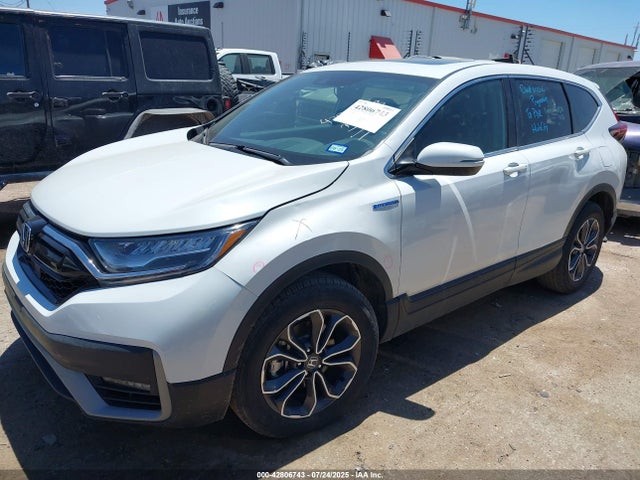 Honda lfb2 2022 5J6RT6H82NL021511 Image 2