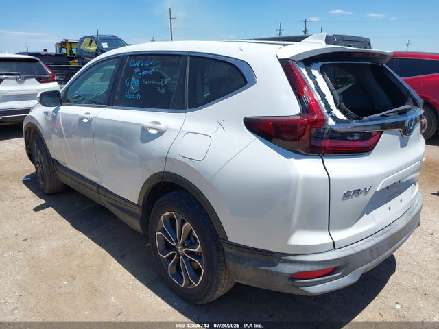 Honda lfb2 2022 5J6RT6H82NL021511 Image 3