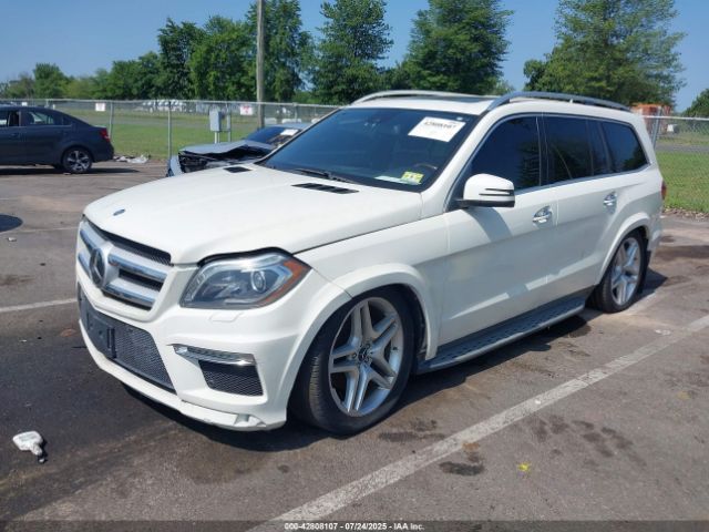 2013 MERCEDES-BENZ GL 550 4JGDF7DE7DA100672 Photo 1