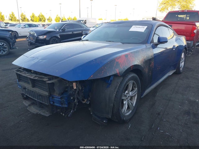 Ford 4v 2024 1FA6P8TH7R5111284 Image 2