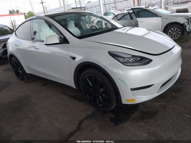 2021 TESLA MODEL Y 5YJYGDEE3MF154056