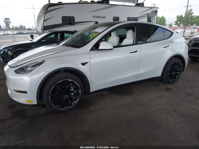 2021 TESLA MODEL Y 5YJYGDEE3MF154056 Photo 1