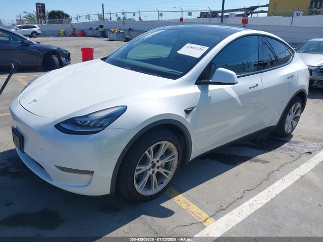 2020 TESLA MODEL Y 5YJYGDEF5LF001976 Photo 1