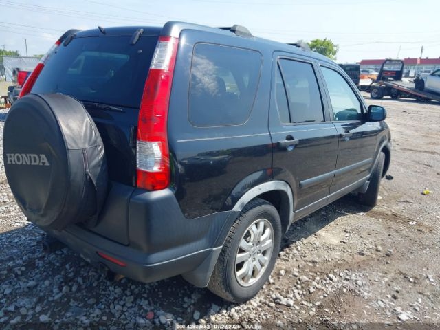 2006 HONDA CR-V JHLRD78806C032262 Photo 3