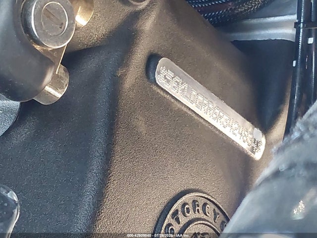 INDIAN MOTORCYCLE CO. 2024 2024 56KLDGRR6R3424834 Image 10