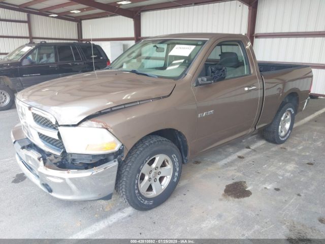 2010 DODGE RAM 1500 3D7JB1EP6AG107535 Photo 1