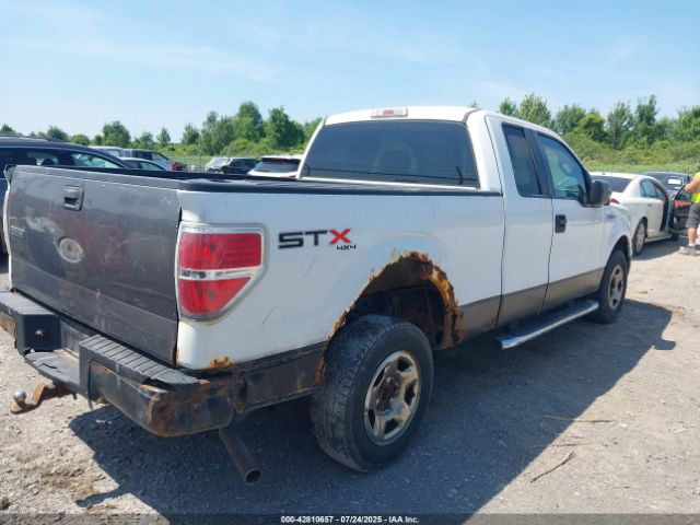 2011 FORD F-150 1FTEX1EM3BFB36917 Photo 3