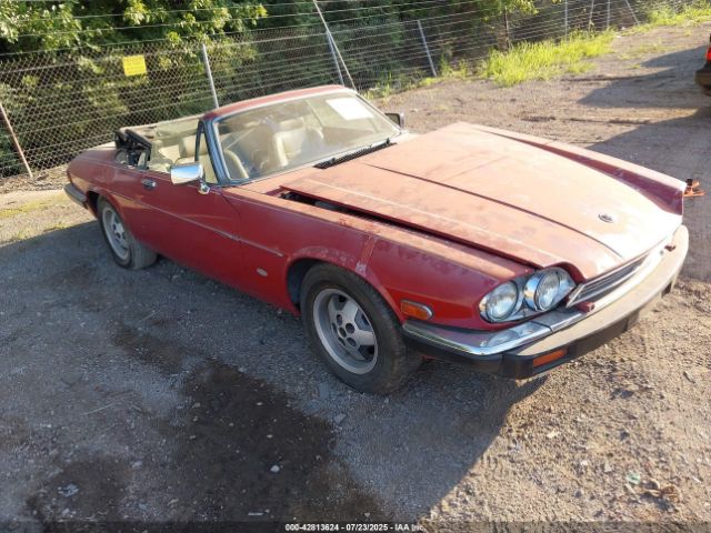 1988 JAGUAR XJS SAJNV5847JC145369 Photo 0