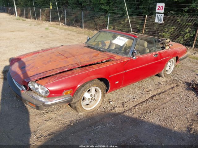 1988 JAGUAR XJS SAJNV5847JC145369 Photo 1