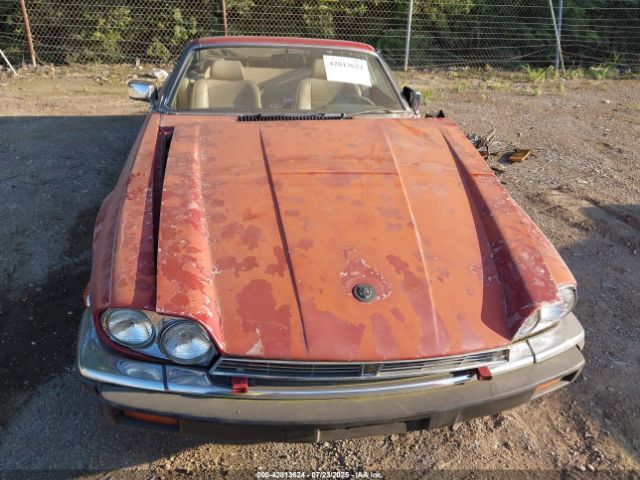 1988 JAGUAR XJS SAJNV5847JC145369 Photo 5