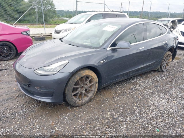 2019 TESLA MODEL 3 5YJ3E1EA6KF531021 Photo 1