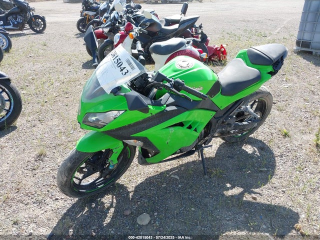 Kawasaki Ninja 300 2015 JKAEX8B12FDA18679 Image 2