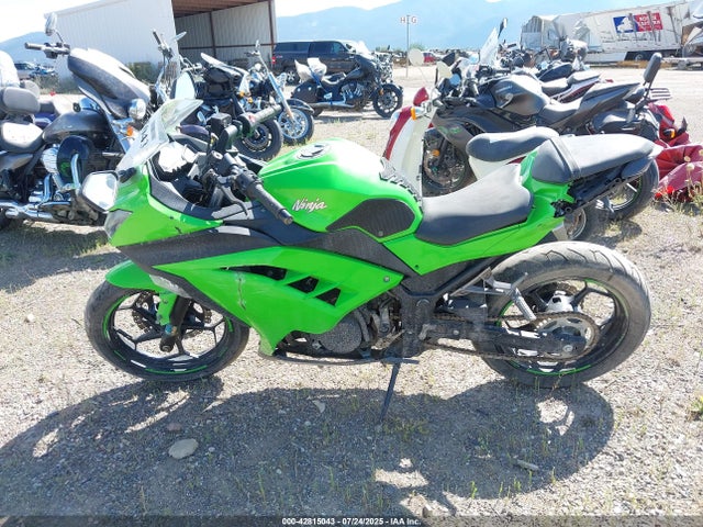 Kawasaki Ninja 300 2015 JKAEX8B12FDA18679 Image 13