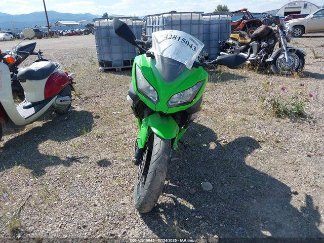 Kawasaki Ninja 300 2015 JKAEX8B12FDA18679 Image 5