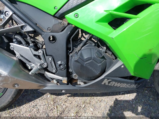 Kawasaki Ninja 300 2015 JKAEX8B12FDA18679 Image 8