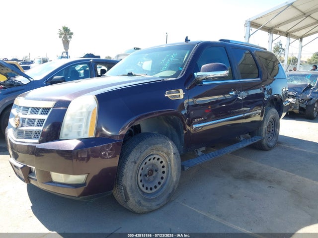 2009 CADILLAC ESCALADE 1GYFK33239R205365 Photo 1