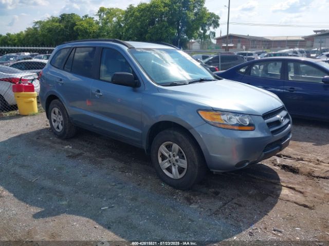 2009 HYUNDAI SANTA FE 5NMSG13D69H307498