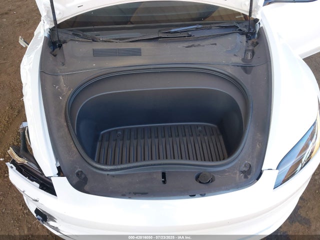2025 TESLA MODEL 3 5YJ3E1EA1SF013818 Photo 9