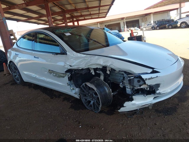 2025 TESLA MODEL 3 5YJ3E1EA1SF013818 Photo 5