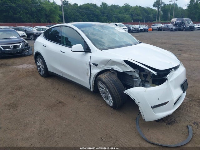 2023 TESLA MODEL Y 7SAYGAEE9PF585491 Photo 0