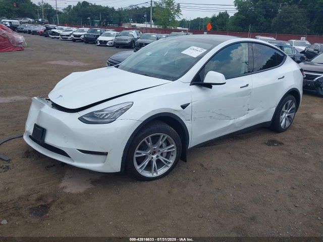 2023 TESLA MODEL Y 7SAYGAEE9PF585491 Photo 1