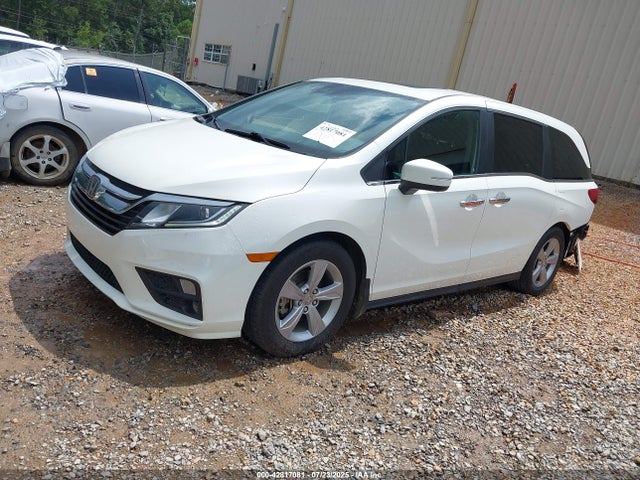 Honda j35y7 2019 5FNRL6H75KB050271 Image 2