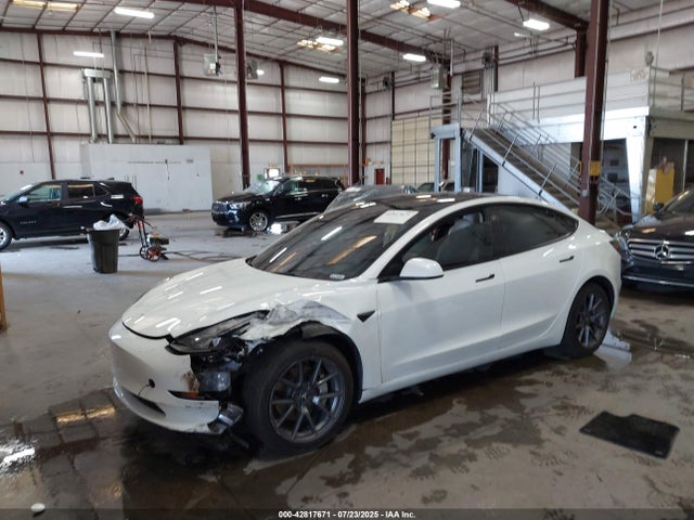 Tesla 2023 2023 5YJ3E1EA3PF541299 Image 2