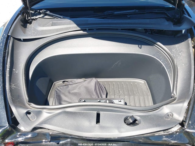 2025 TESLA MODEL 3 5YJ3E1EA6SF985379 Photo 9