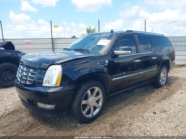 2010 CADILLAC ESCALADE ESV 1GYUCJEF5AR218986 Photo 1