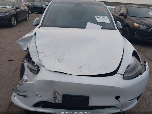 Tesla Model Y 2023 7SAYGDEE2PF630479 Image 11