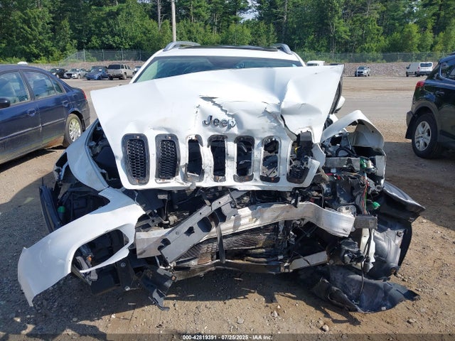 Jeep Cherokee 2017 1C4PJMDS0HW503972 Image 13