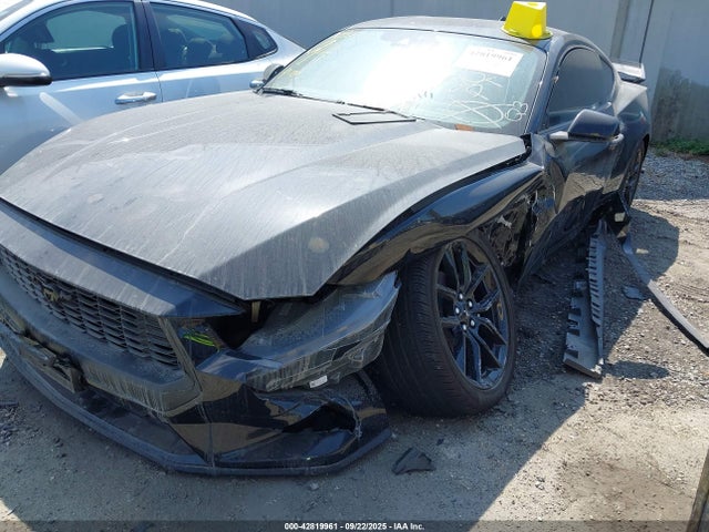 Ford 4v 2024 1FA6P8TH2R5108583 Image 2