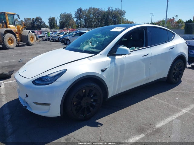 5YJYGDEE6MF279875 Tesla 2021