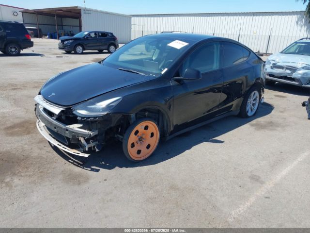 2023 TESLA MODEL Y 7SAYGAEE6PF904152 Photo 1
