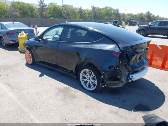 2023 TESLA MODEL Y 7SAYGAEE6PF904152 Photo 2