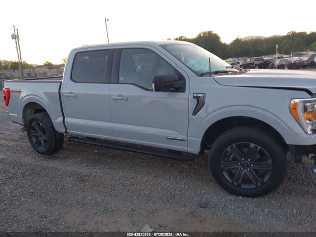 Ford F-150 2023 1FTFW1ED1PFB38177 Image 13