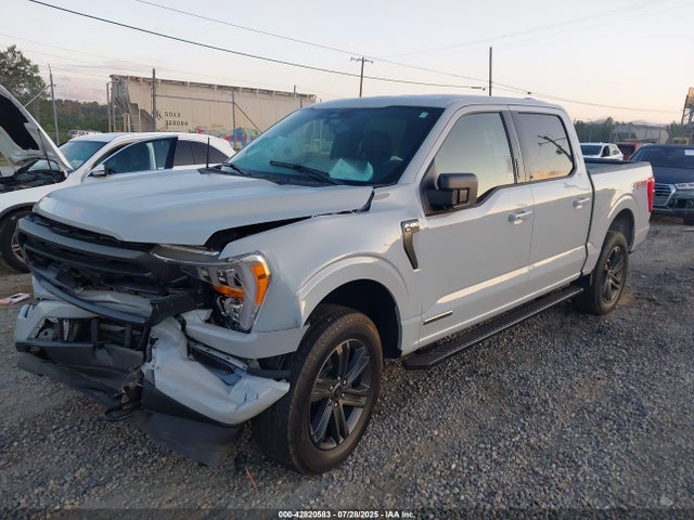 Ford F-150 2023 1FTFW1ED1PFB38177 Image 2