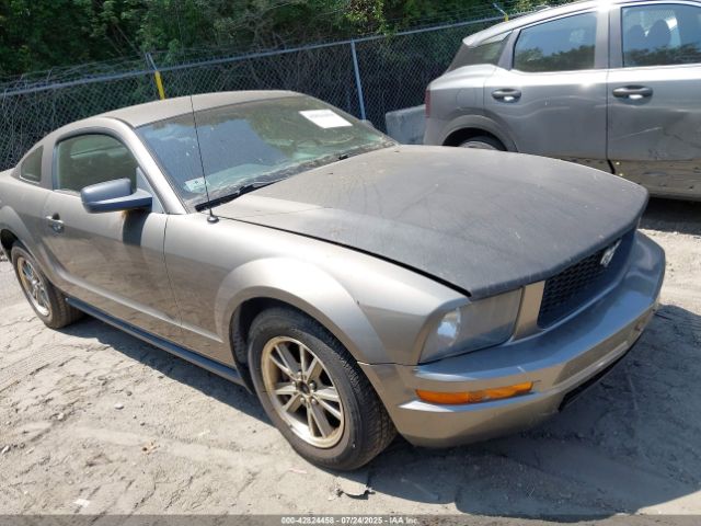 2005 FORD MUSTANG 1ZVFT80N855110023 Photo 0