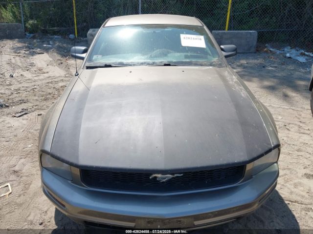 2005 FORD MUSTANG 1ZVFT80N855110023 Photo 5
