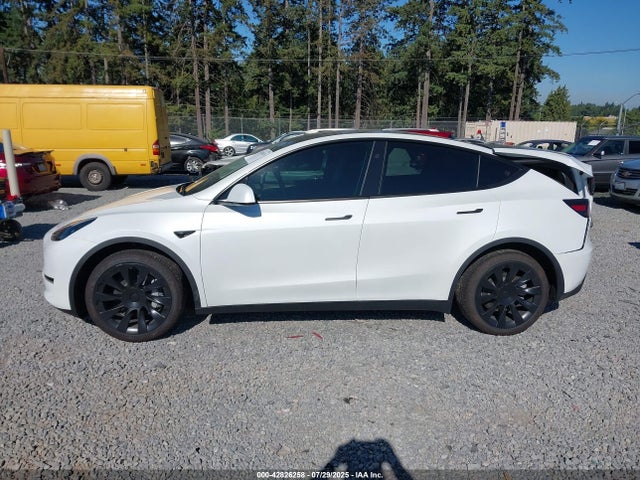 Tesla 2025 2025 7SAYGAEEXSF240575 Image 14