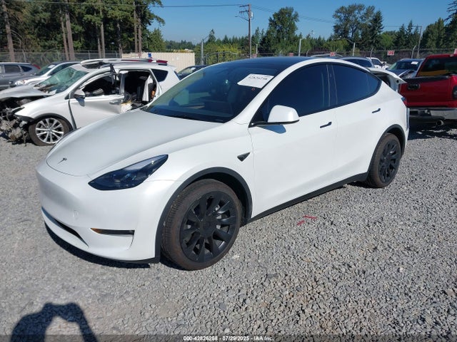 Tesla 2025 2025 7SAYGAEEXSF240575 Image 2