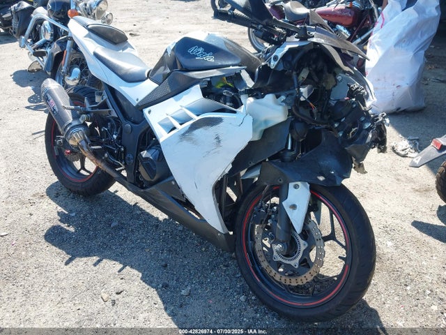 2014 JKAEX8B13EA005520 главное изображение